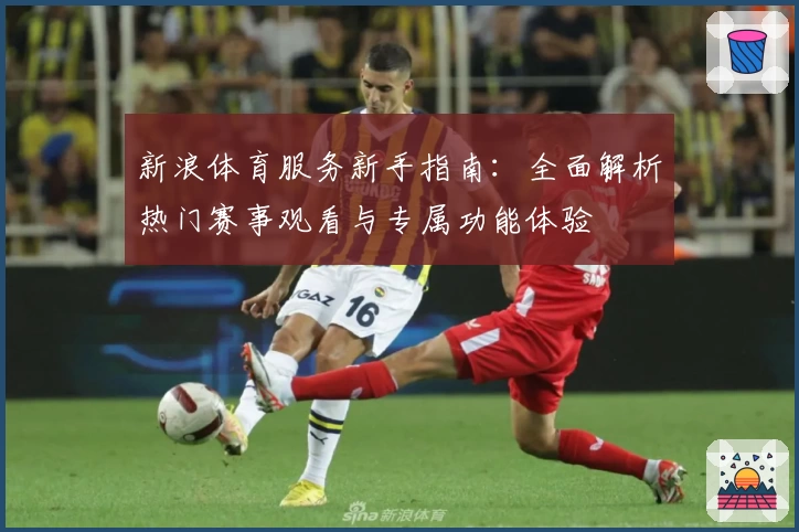 新浪体育服务新手指南:全面解析热门赛事观看与专属功能体验