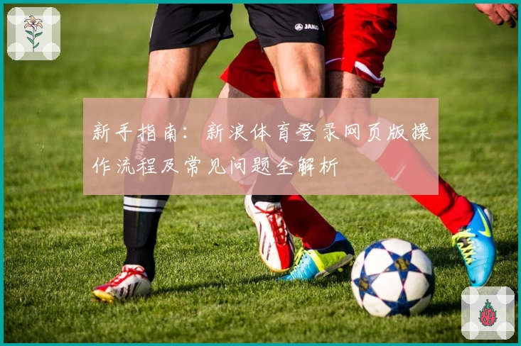 新手指南：新浪体育登录网页版操作流程及常见问题全解析
