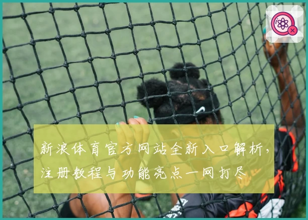 新浪体育官方网站全新入口解析，注册教程与功能亮点一网打尽