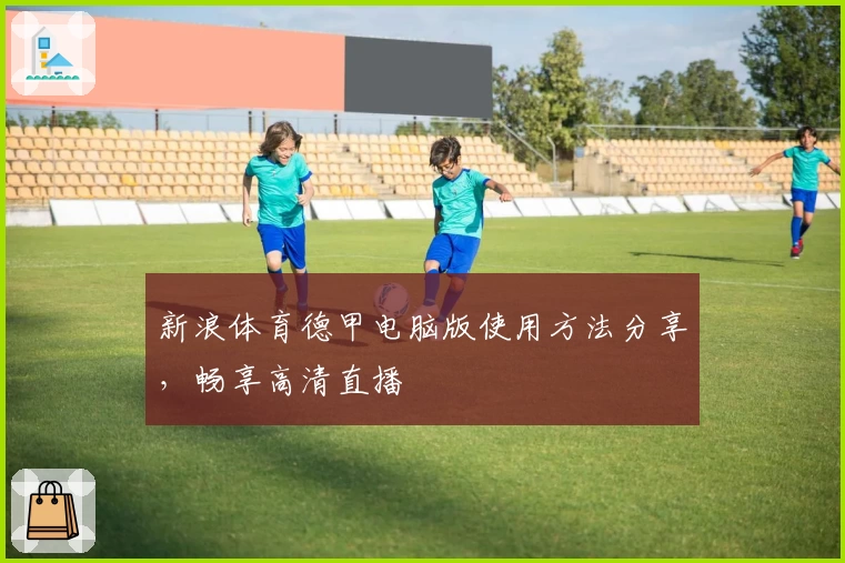 新浪体育德甲电脑版使用方法分享，畅享高清直播