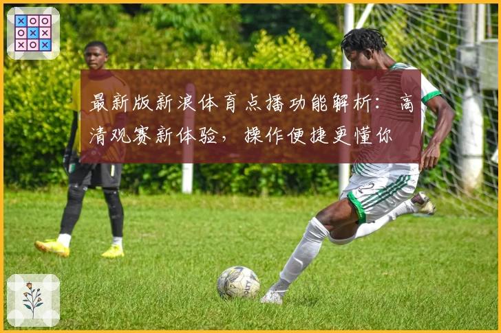 最新版新浪体育点播功能解析：高清观赛新体验，操作便捷更懂你