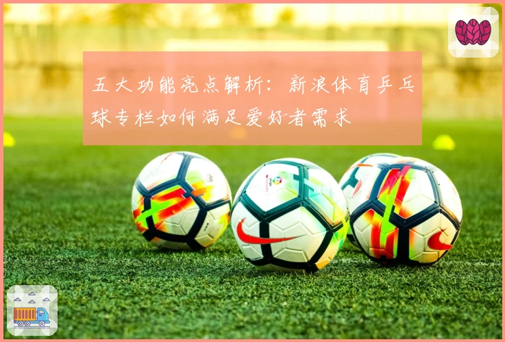 五大功能亮点解析：新浪体育乒乓球专栏如何满足爱好者需求