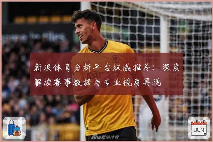 新浪体育分析平台权威推荐：深度解读赛事数据与专业视角再现