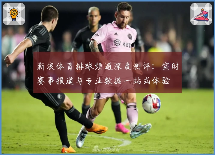 新浪体育排球频道深度测评：实时赛事报道与专业数据一站式体验