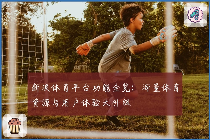 新浪体育平台功能全览：海量体育资源与用户体验大升级