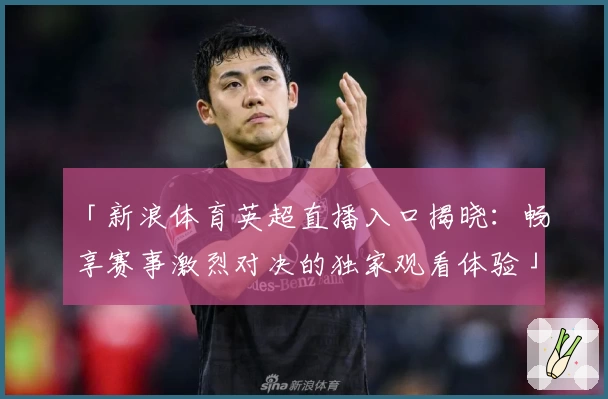 「新浪体育英超直播入口揭晓:畅享赛事激烈对决的独家观看体验」