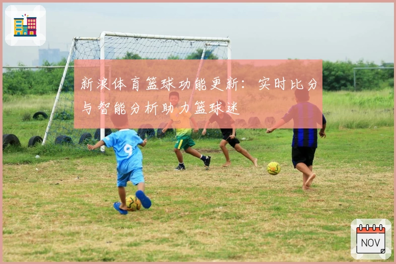 新浪体育篮球功能更新：实时比分与智能分析助力篮球迷