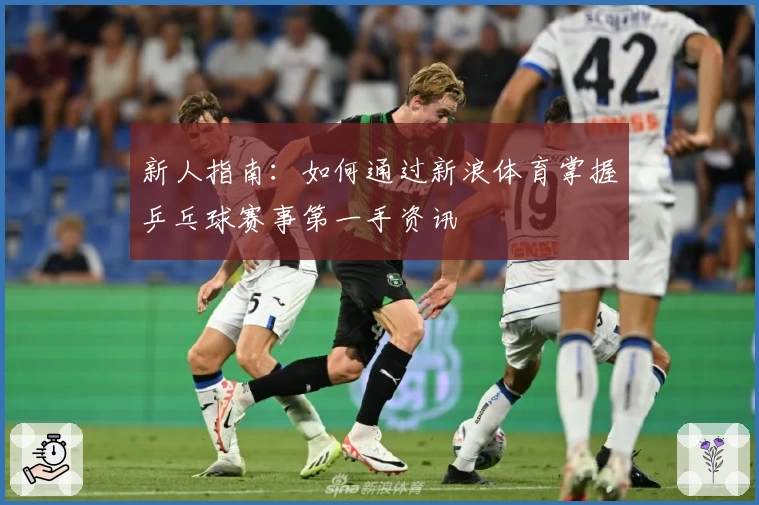 新人指南：如何通过新浪体育掌握乒乓球赛事第一手资讯