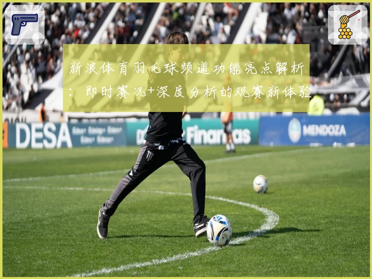新浪体育羽毛球频道功能亮点解析：即时赛况+深度分析的观赛新体验