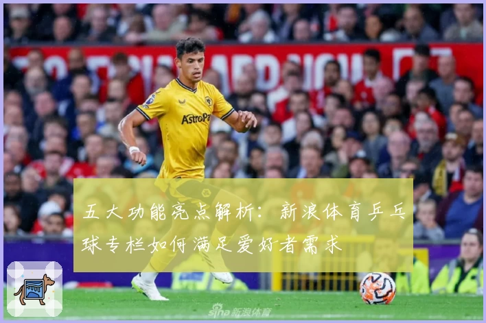 五大功能亮点解析：新浪体育乒乓球专栏如何满足爱好者需求